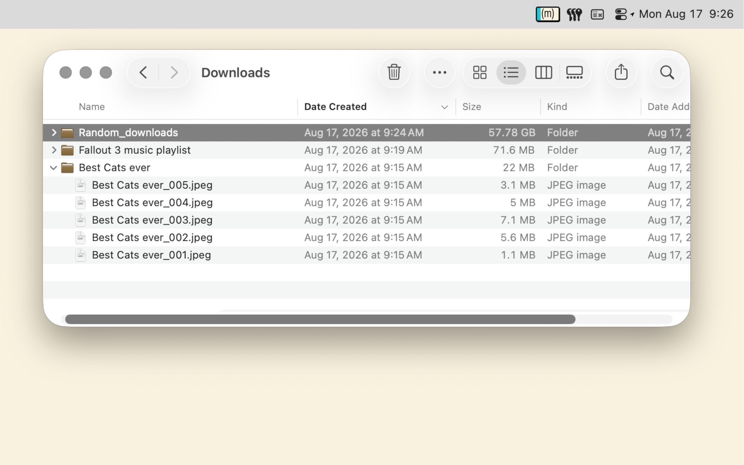 Downloads sorted into their own folders