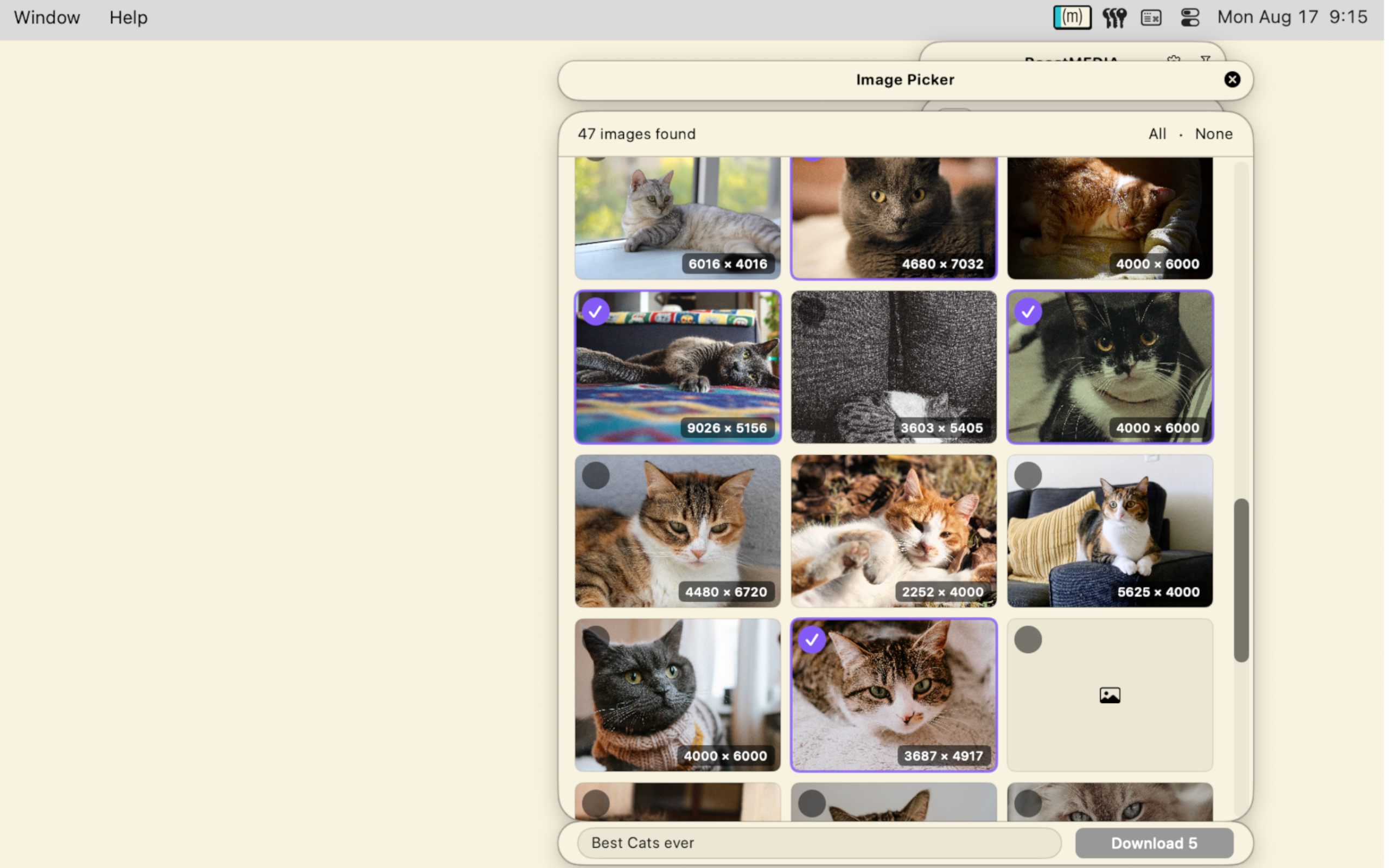 The RoostMEDIA image picker, a grid of images found on a page