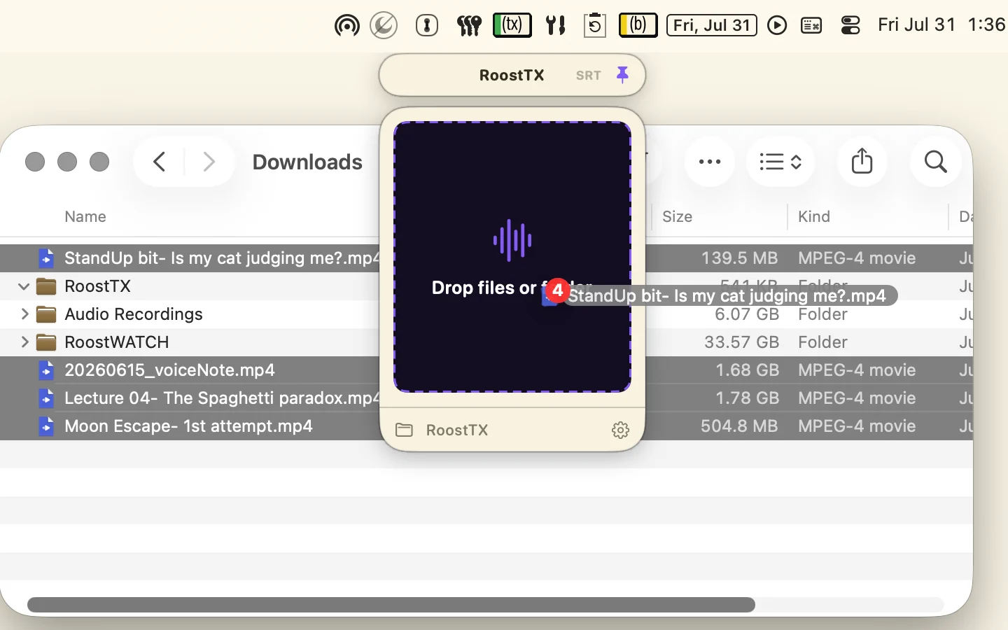 Files being dragged onto the RoostTX panel
