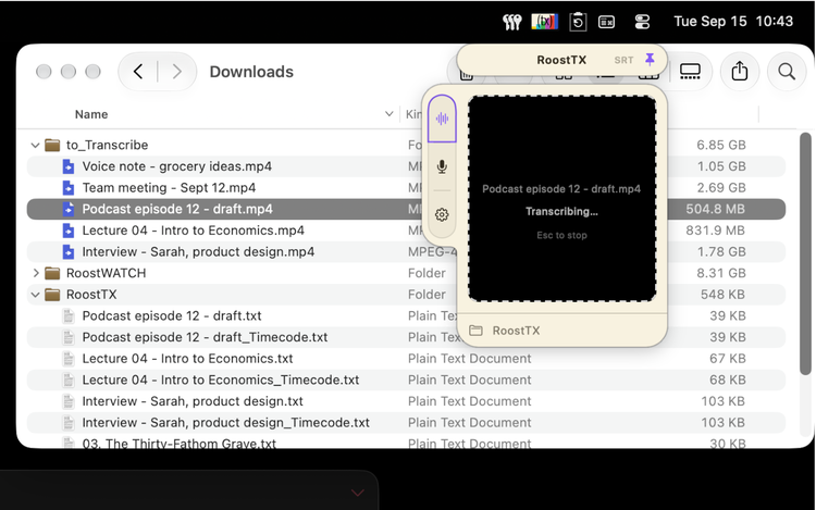 A single file transcribing in progress
